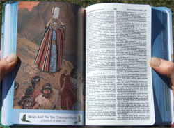 Seaside Bible